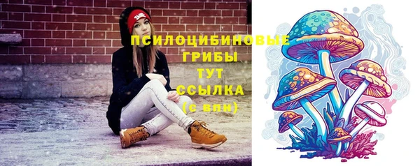 mix Нязепетровск