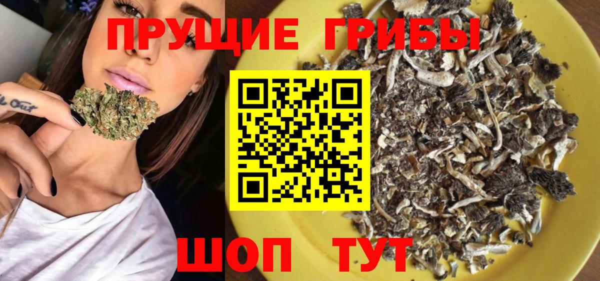 Тобольск  Галлюциногенные грибы ЛСД  Вход с VPN 